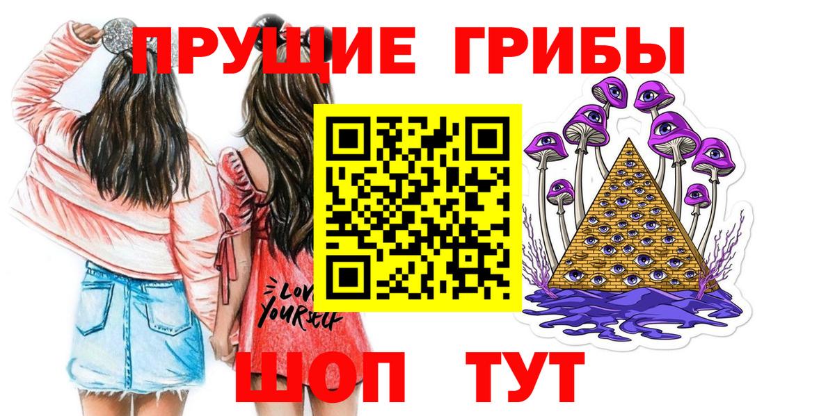 Псилоцибиновые грибы Psilocybe Бор