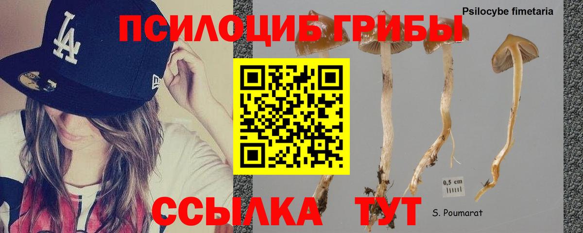 Бор  Галлюциногенные грибы GOLDEN TEACHER  Вход с VPN 